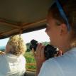 tour safari