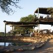 African wildlife safari