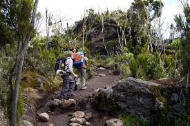 Mount Meru climbing